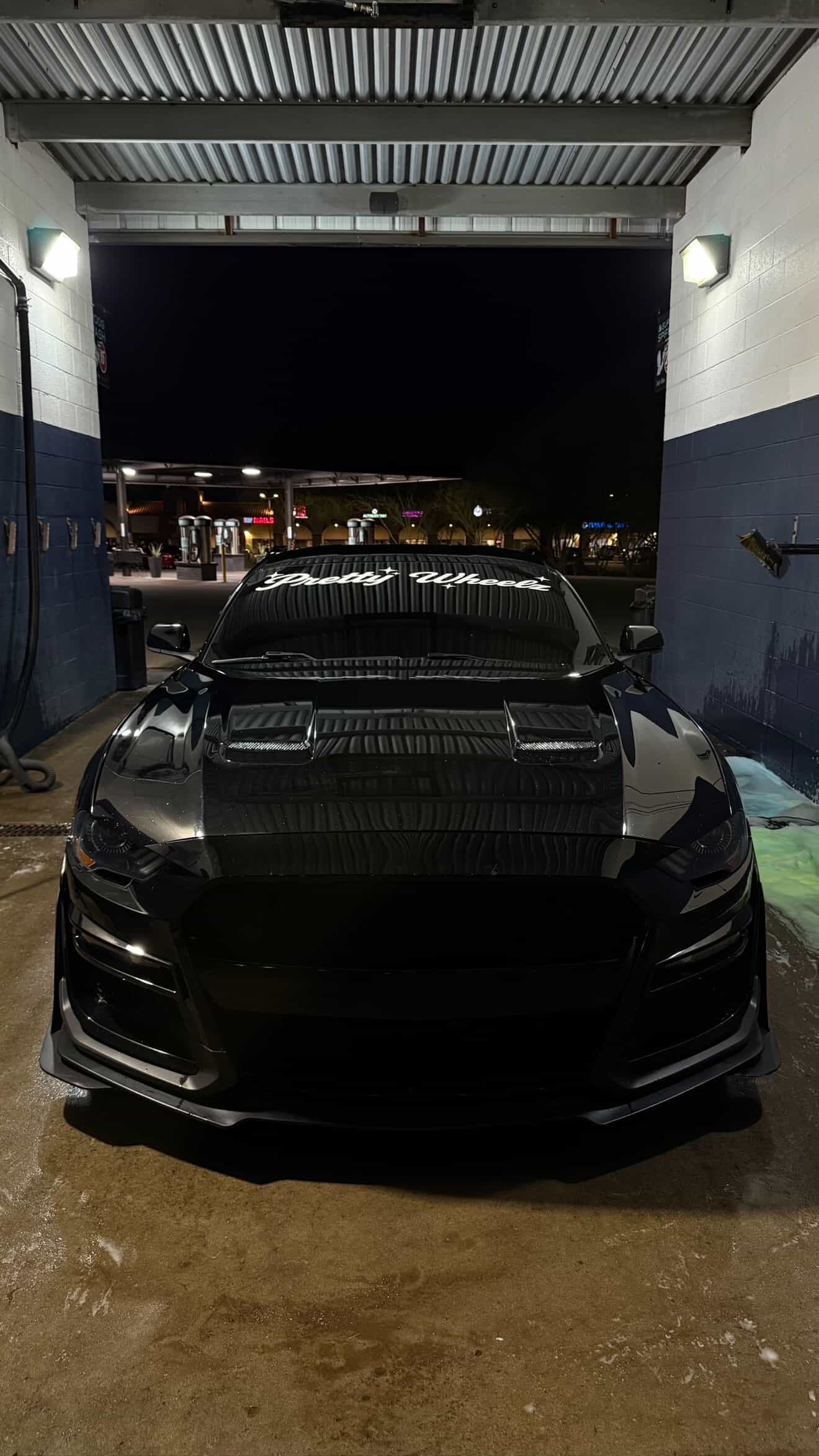 Pretty Wheelz Banner