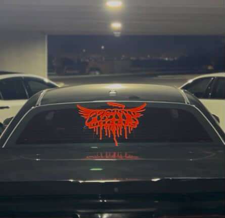 Pretty Wheelz 20in Wingz Decal